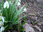 DSCF1573.JPG