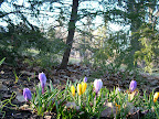 DSCF1567.JPG