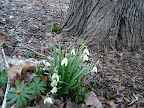 DSCF1572.JPG