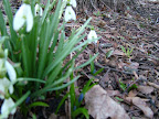 DSCF1573.JPG