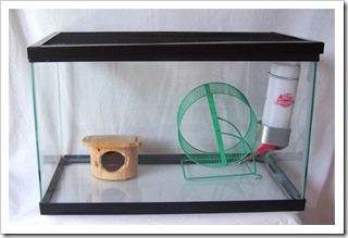 cage2