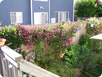 August 2010 (10)