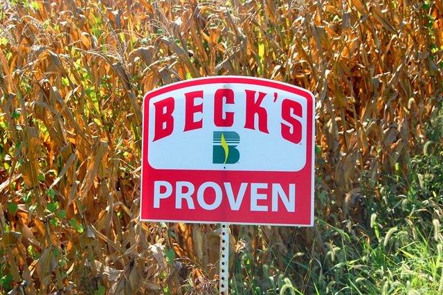 [becksseed23.jpg]