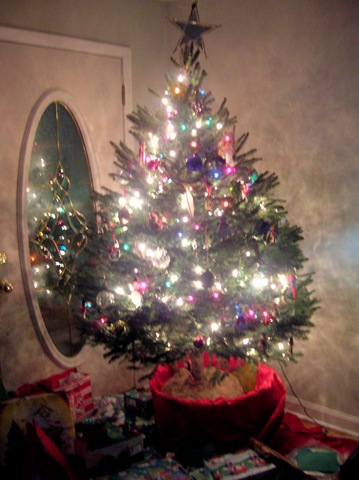 [christmas tree 2010[4].jpg]