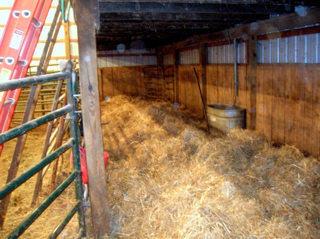 [calf bed[4].jpg]