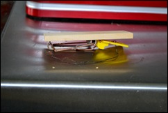 mousetrap mousetrap