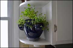 safe herbs safe herbs