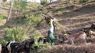 IMG_0186.JPG