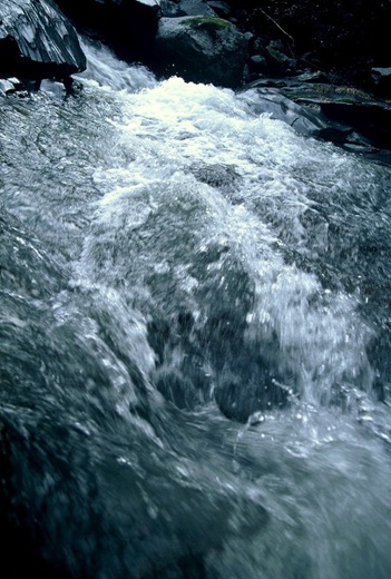 DH000003