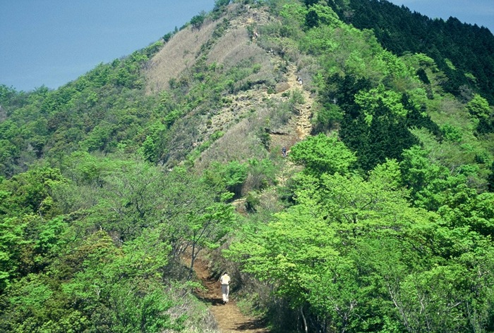 [DH000043[2].jpg]