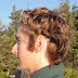 Dsc00087
