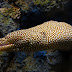 Dsc00248