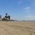 Dsc00569