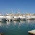 Dsc00910