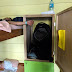 Dsc02364