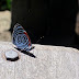 Dsc03417