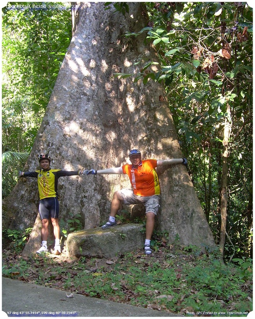 รูปภาพ