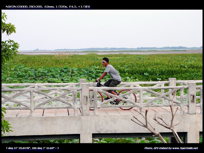 รูปภาพ