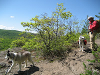 IMG_2513.JPG Photo