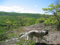 IMG_2515.JPG Photo
