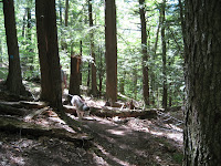 IMG_2545.JPG Photo