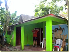 palenque 100 palenque 100
