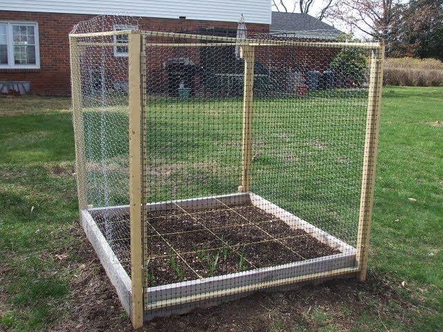Deer-proof Garden: Version 2.0