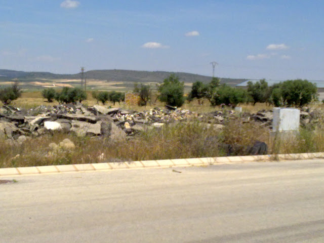 POLIGONO