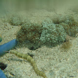 PA100035.JPG