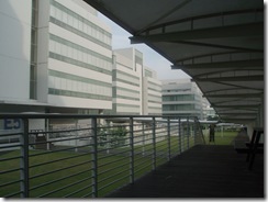 P4301901