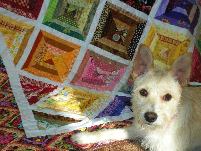 [willow and quilt[21].jpg]