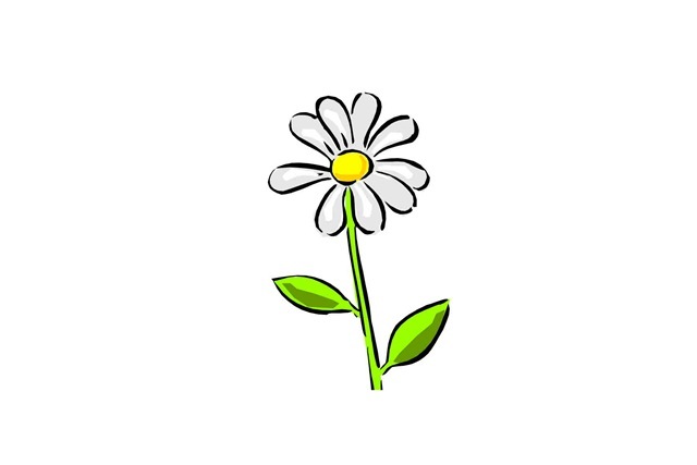 [daisy[7][4].jpg]