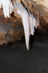IMG_2244.JPG