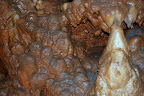 IMG_2316.JPG