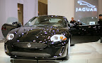 IMG_5669.JPG