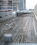 IMG_5593.JPG
