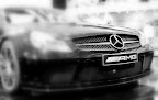 IMG_5779.JPG