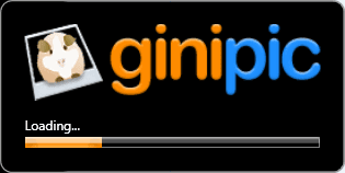 ginipic_splash