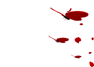 2f33.png (312×224)