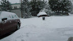P1000932.JPG