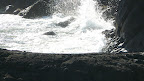 P1010006.JPG