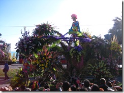 IMG_1033 IMG_1033