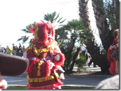 IMG_0951 IMG_0951