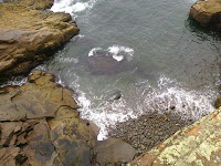 CIMG2414.jpg Photo
