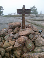 CIMG2429.jpg Photo