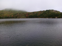 CIMG2441.jpg Photo