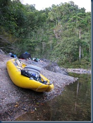 IMG_2766 IMG_2766
