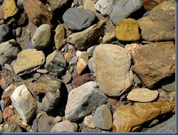 IMG_2986 IMG_2986