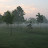 Indiana