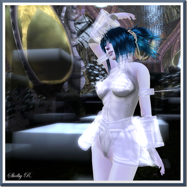 BareRose4_001b BareRose4_001b